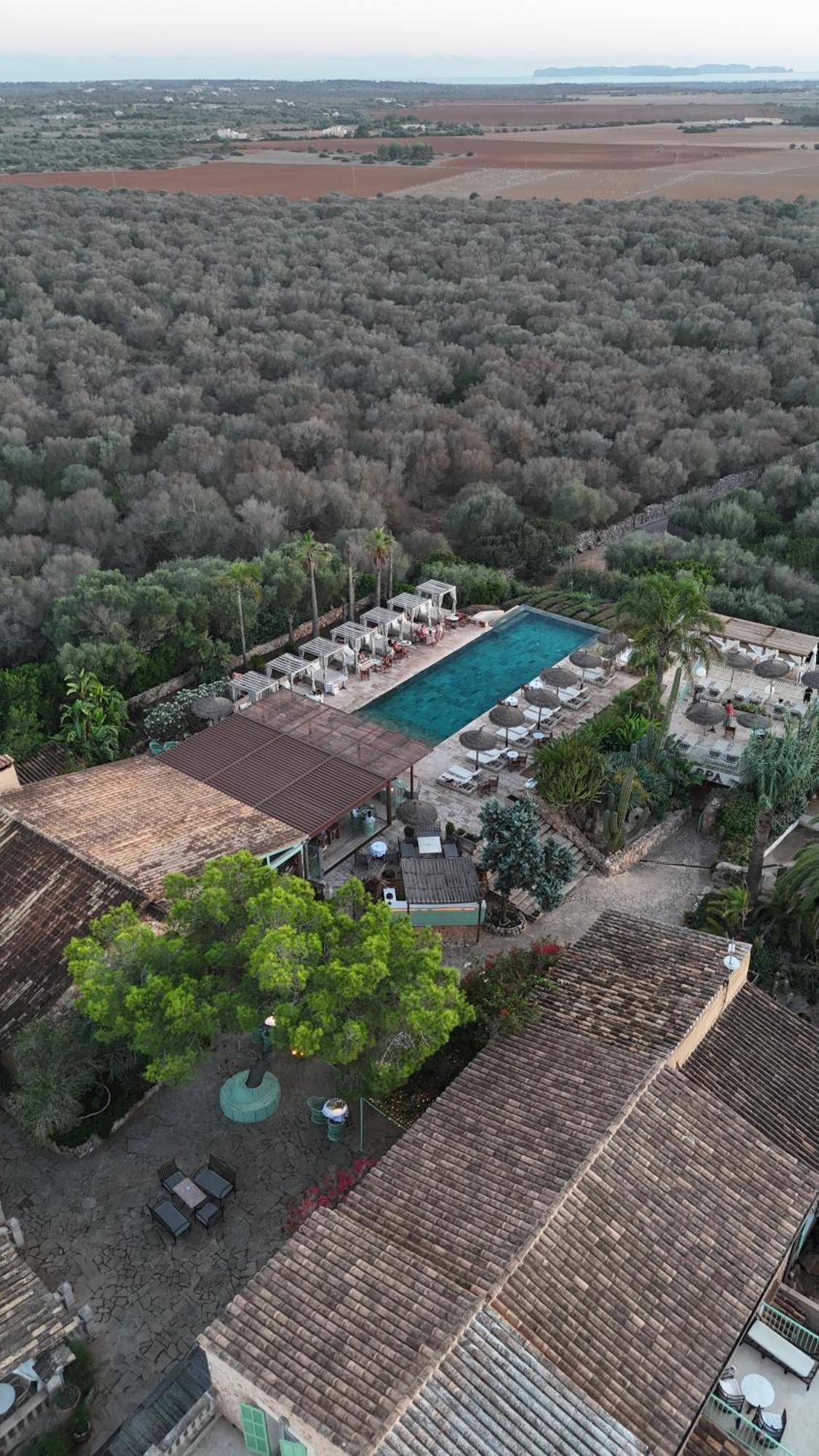 Finca Hotel Rural Es Turo Ses Salines  Dış mekan fotoğraf