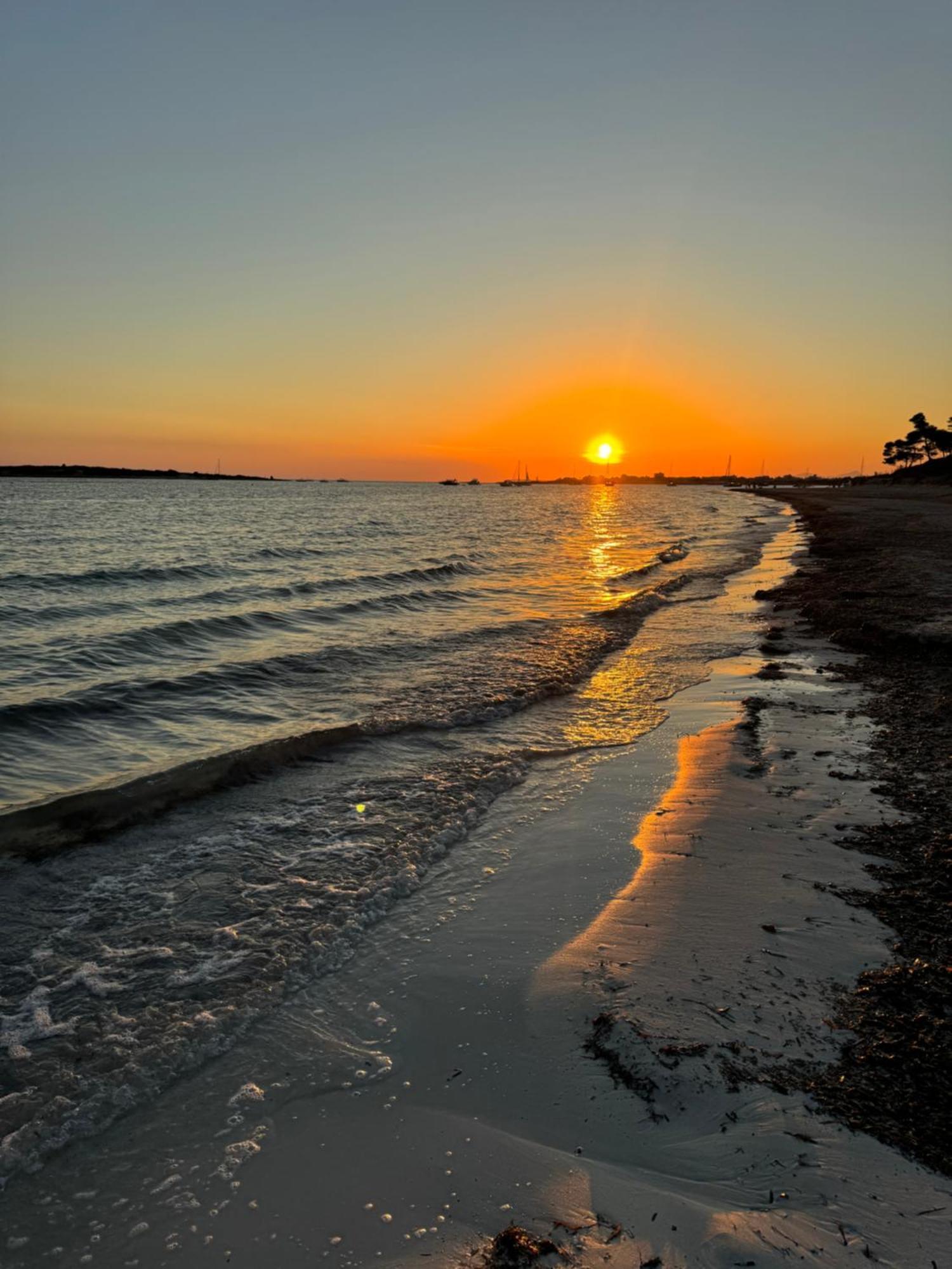 Finca Hotel Rural Es Turo Ses Salines  Dış mekan fotoğraf